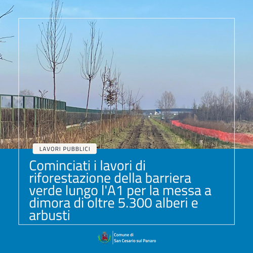 Cominciati i lavori di riforestazione della barriera verde lungo l A1