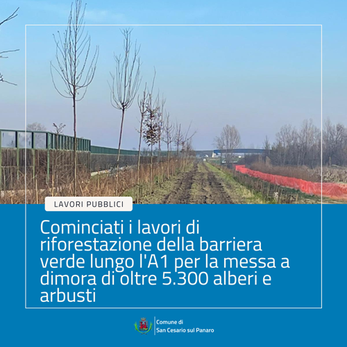 Cominciati i lavori di riforestazione della barriera verde lungo l'A1